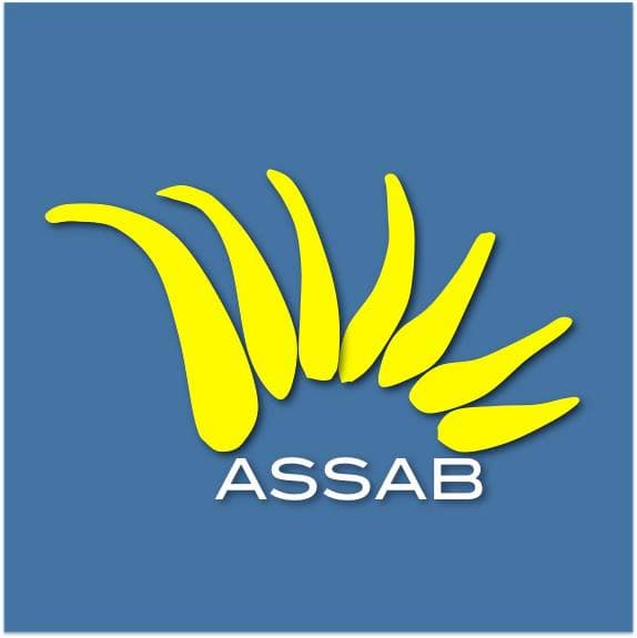 ASSAB