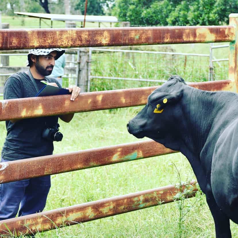 Animal Sciences