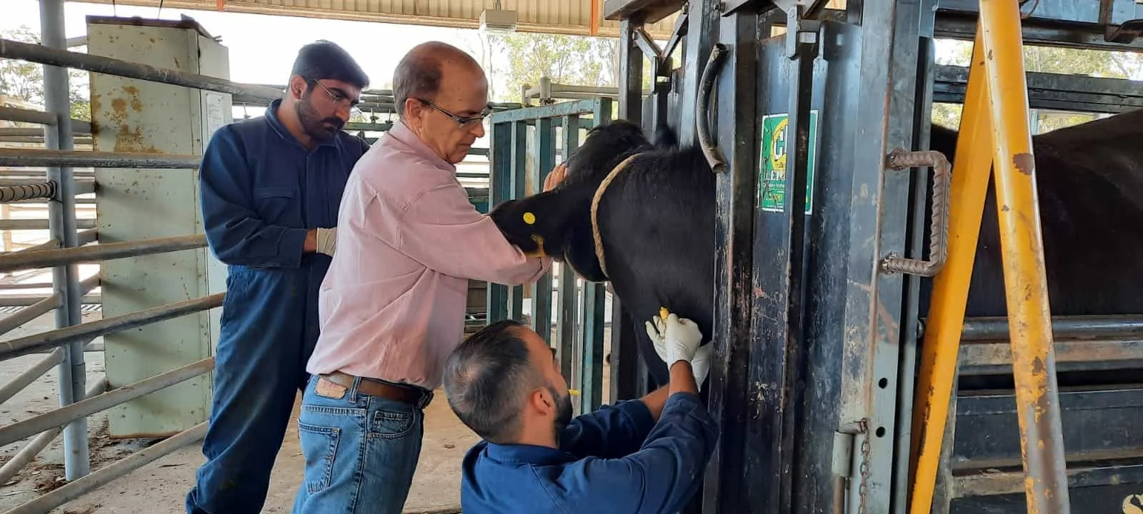 WhatsApp Image 2023-09-22 at 10.05.17 PM-min